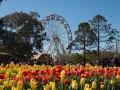 0929-1556 Floriade (1040961)